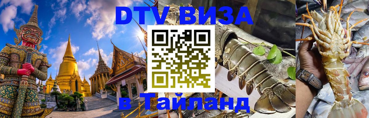 Оформление DTV визы под ключ: стоимость и тарифы, только загранпаспорт - 